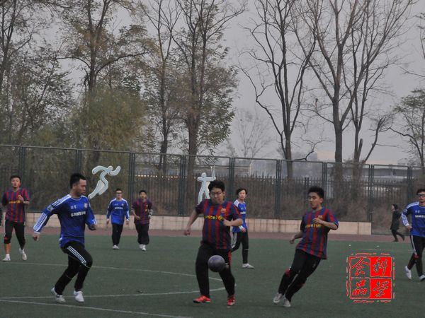 5.bmp
